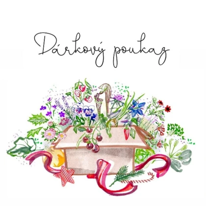 Voucher k Vánocům v hodnotě 750,- Kč