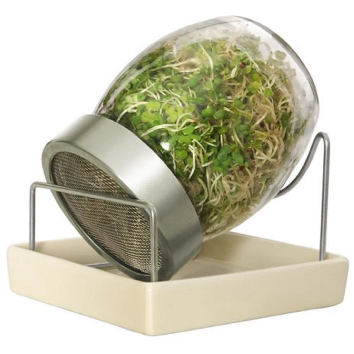 Sklenice na klíčení s keramickým podstavcem - Zdravý den - 1 ks