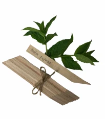 Zápichy pro označení sazenic - dřevěné - 10 ks