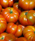 BIO Rajče Oaxacan Jewel - Solanum lycopersicum - bio semena rajčete - 6 ks