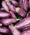 Lilek Jewel Marble - Solanum melongena - semena lilku - 10 ks