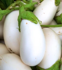 Lilek Jewel Jade - Solanum melongena - semena lilku - 10 ks