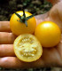 Rajče žluté Cerise - Solanum lycopersicum - semena rajčete - 10 ks