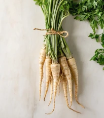 BIO Pastiňák Turga - Pastinaca sativa - bio semena pastiňáku - 1 g