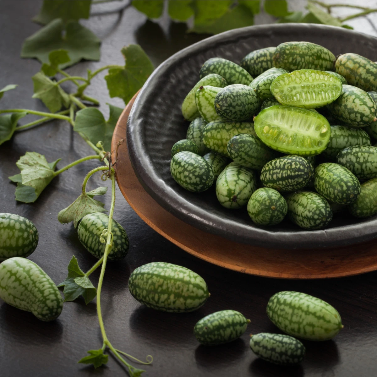 BIO Mexická mini okurka - Zehneria scabra - bio semena okurky - 5 ks