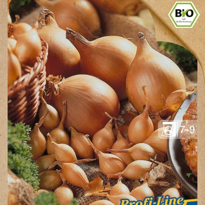 BIO Cibule sazečka Setton - Allium cepa - bio cibulky - 40 ks
