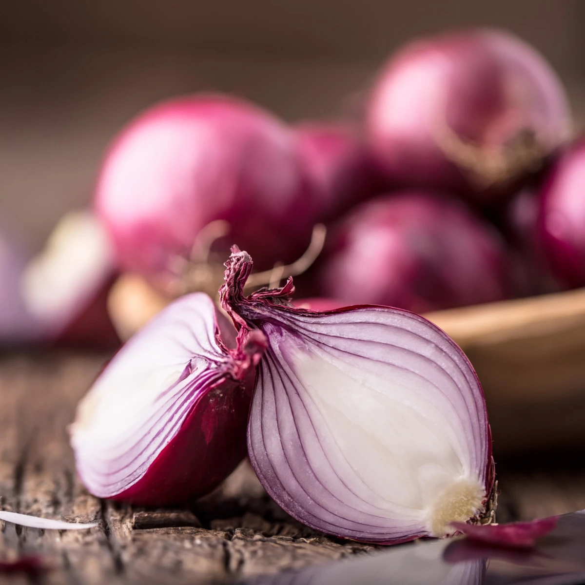 Cibule sazečka červená Red Ray F1 - Allium cepa - cibulky - 50 ks