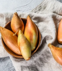 Cibule šalotka Longor - Allium cepa - cibulky - 10 ks