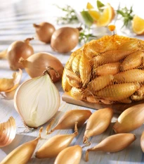 Cibule sazečka hruškovitého tvaru - Allium cepa - cibulky - 250 g