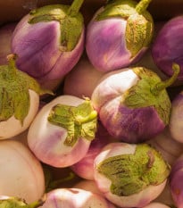 BIO Lilek Rosa Bianca - Solanum melongena - bio semena lilku - 20 ks