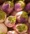 BIO Lilek Rosa Bianca - Solanum melongena - bio semena lilku - 20 ks