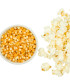 BIO Kukuřice pukancová Cinema - Zea mays - bio semena kukuřice - 15 ks