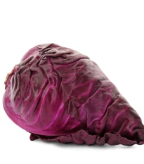 BIO Zelí červené Kalibos - Brassica oleracea capitata - bio semena zelí - 30 ks