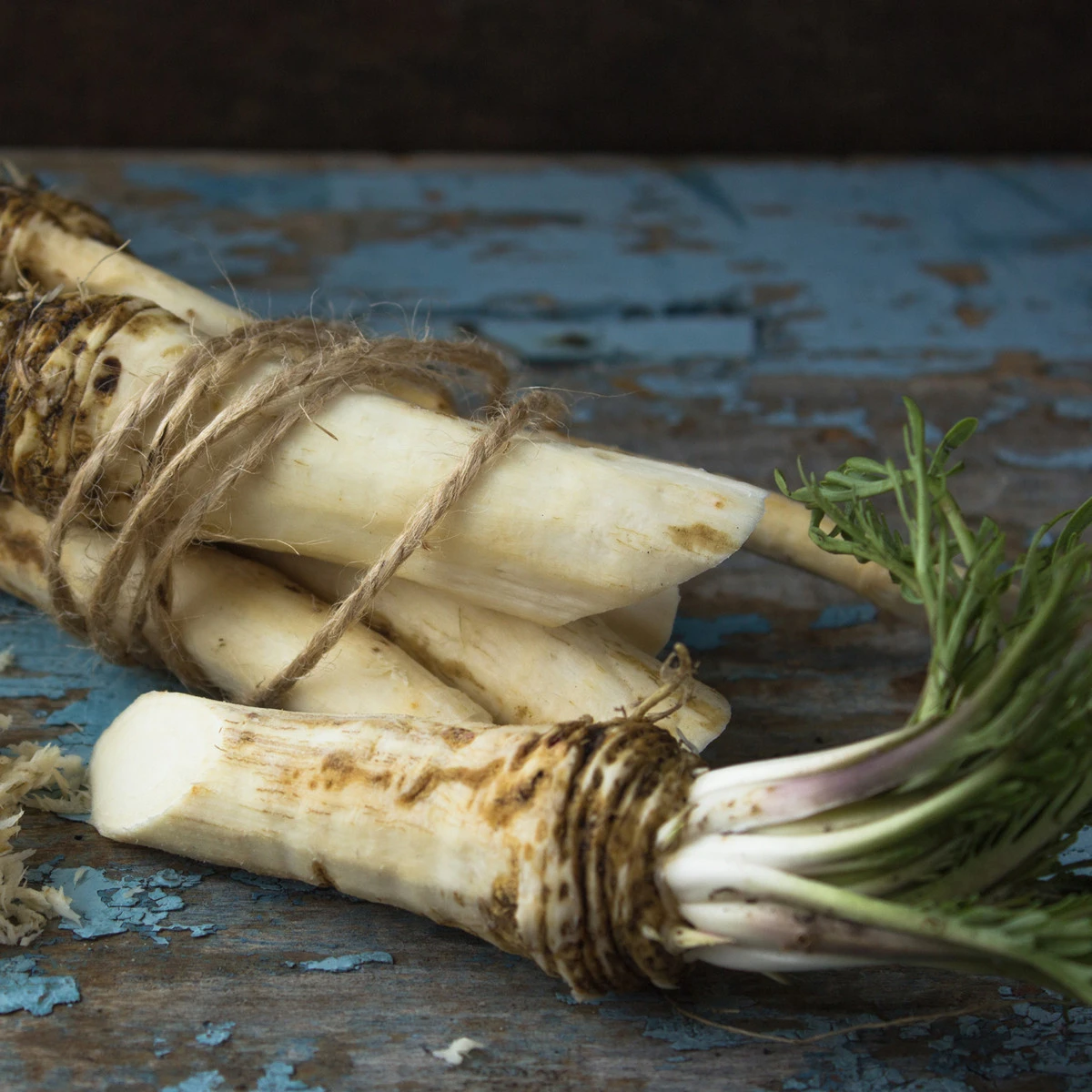 Selský křen - Armoracia rusticana - kořenové řízky křenu k sázení - 1 ks