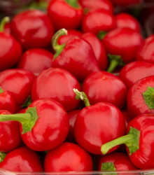 BIO Paprika Babybell červená - Capsicum annuum - semena papriky - 10 ks