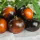 BIO Rajče tyčkové cherry Brown Berry - Solanum lycopersicum - bio semena rajčete - 7 ks