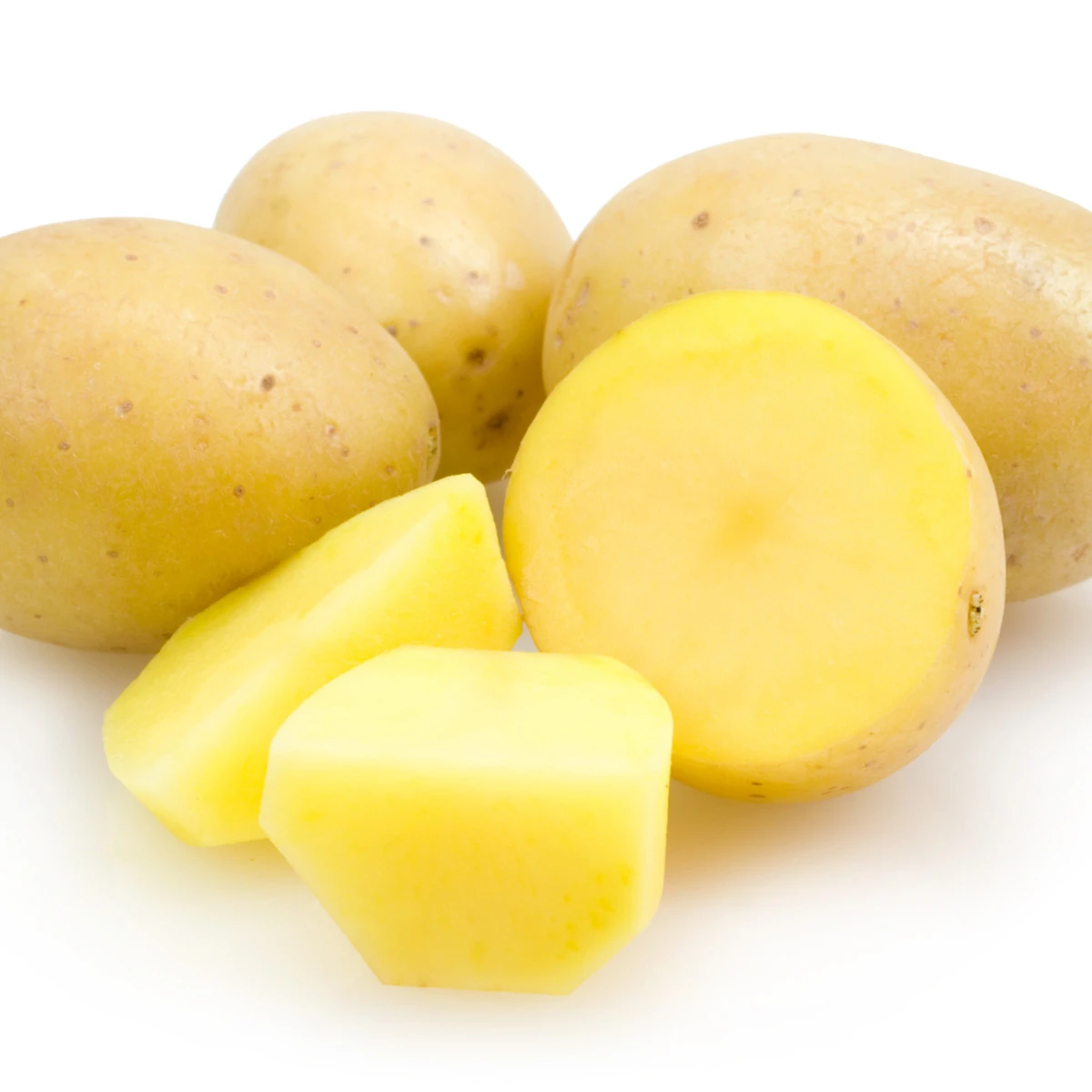 Sadbové brambory Monique - Solanum tuberosum - brambory - 10 ks