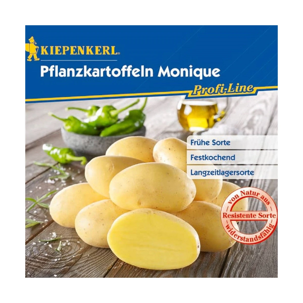 Sadbové brambory Monique - Solanum tuberosum - brambory - 10 ks