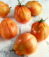BIO Rajče Coure di Bue oranžové - Solanum lycopersicum - bio semena rajčete - 8 ks