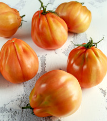 BIO Rajče Coure di Bue oranžové - Solanum lycopersicum - bio semena rajčat - 8 ks