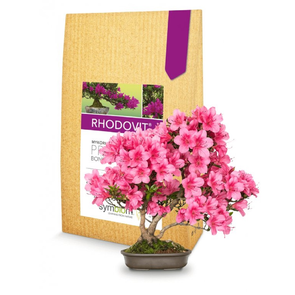 Rhodovit - mykorhiza pro bonsaje - 100 g