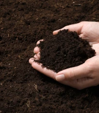 Substrát pro jahody a drobné ovoce - speciální substrát - 100 g