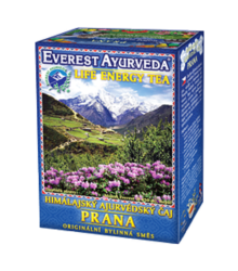Prana - ájurvédský bylinný čaj - 100 g