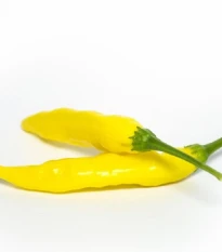 Chilli Aji Pineapple - Capsicum baccatum - semena chilli - 7 ks
