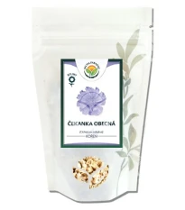 Čekanka obecná - Cichorium inthybus - celý kořen - 100 g