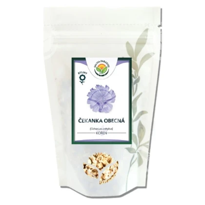 Čekanka obecná - Cichorium inthybus - celý kořen - 100 g