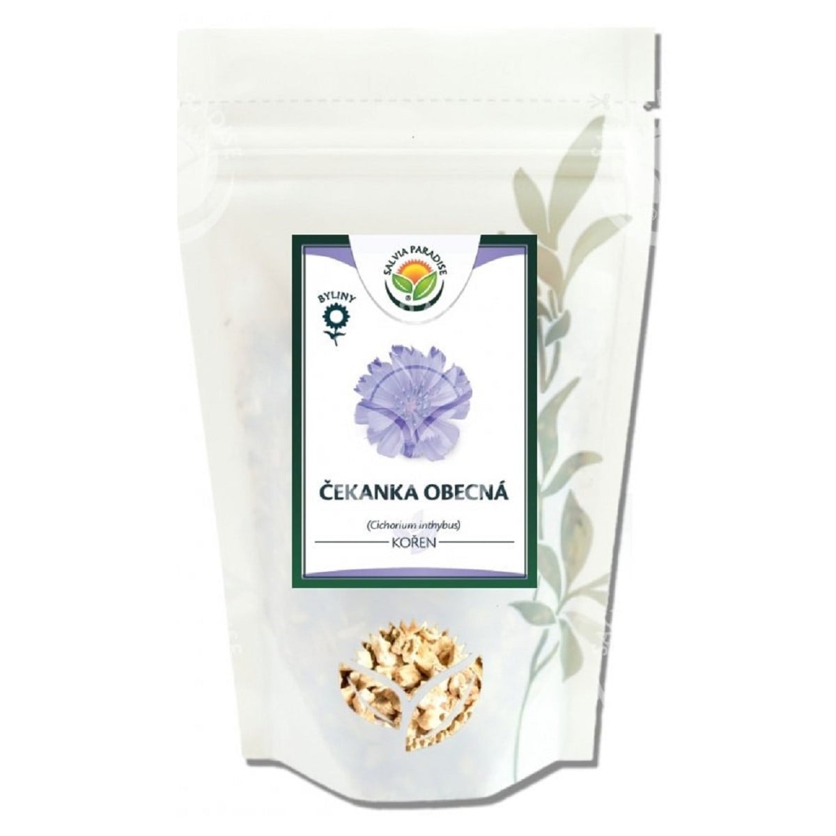 Čekanka obecná - Cichorium inthybus - celý kořen - 100 g