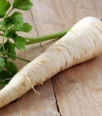 Petržel zahradní Efez - Petroselinum crispum - semena petržele - 700 ks