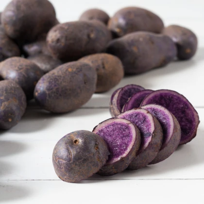 Sadbové brambory Blaue St. Galler - Solanum tuberosum - brambory - 5 ks