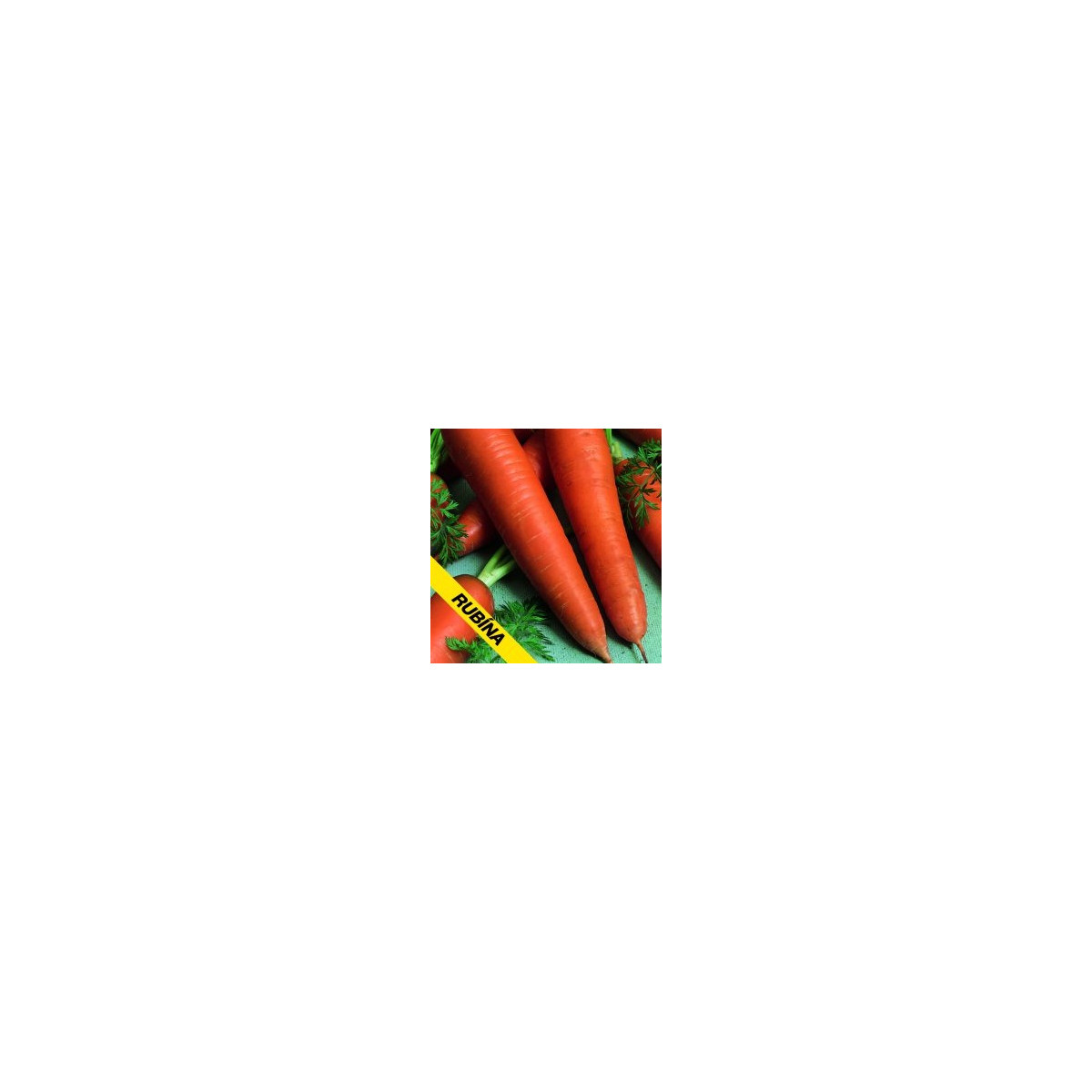 Mrkev Rubina - prodej semen Daucus carota - 1 gr