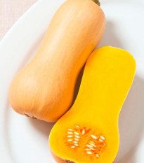 BIO Tykev muškátová Butterscotch F1 - Cucurbita moschata - bio semena tykve - 5 ks
