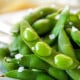 BIO Sója luštinatá Edamame - Glycine max - bio semena sóji - 25 ks