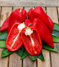 Paprika Snacking Red F1 - Capsicum annuum - semena papriky - 5 ks
