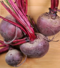 Řepa salátová kulatá červená Pablo F1 - Beta vulgaris - semena řepy - 50 ks