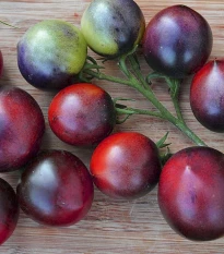BIO Rajče Indigo Blue Berries - Solanum lycopersicum - bio semena rajčete - 7 ks