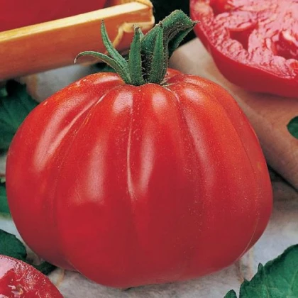 Rajče Coure di Bue - Solanum lycopersicum - semena rajčete - 10 ks