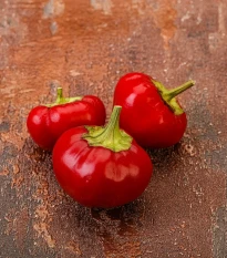 Chilli Large Red Cherry Hot - Capsicum annuum - semena chilli - 7 ks
