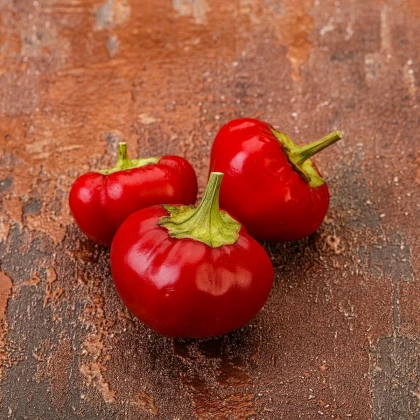 Chilli Large Red Cherry Hot - Capsicum annuum - semena chilli - 7 ks