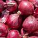 Cibule sazečka zimní Rote Winter - Allium cepa - cibulky - 50 ks