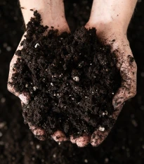 Substrát pro borůvky a brusinky - speciální substrát - 100 g