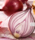 Cibule sazečka zimní Rote Winter - Allium cepa - cibulky - 50 ks