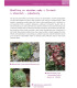 Květiny pro suché zahrady - ukázka z knihy