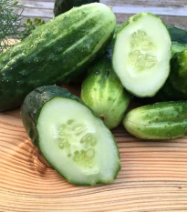 BIO Okurka Liefje - Cucumis sativus - bio semena okurky - 10 ks