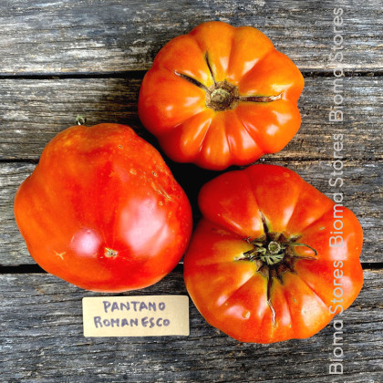 Rajče Pantano Romanesco - Solanum lycopersicum - semena rajčete - 7 ks
