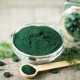 BIO Spirulina - prášek - bio kvalita - 100 g