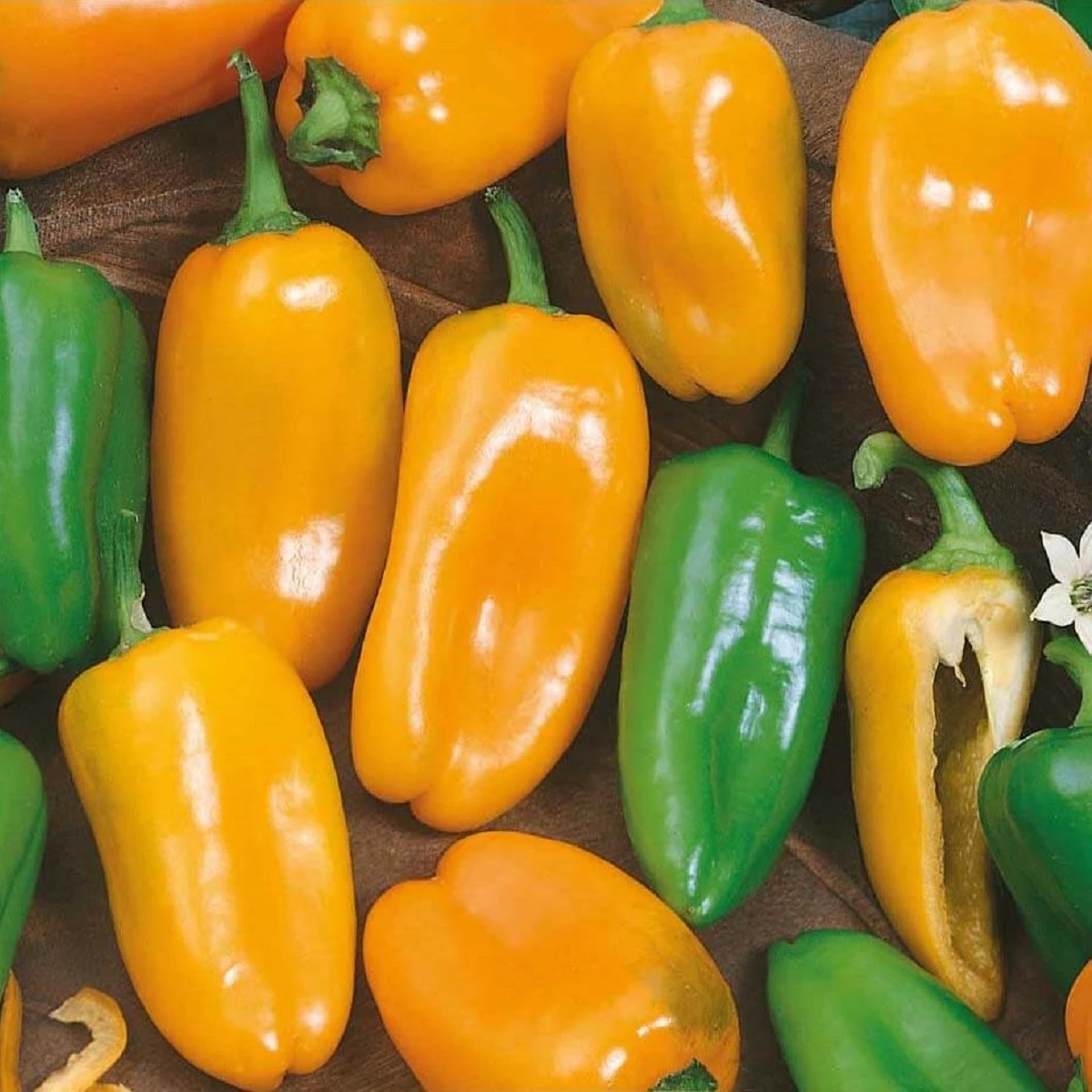 Paprika roční Hamík - Capsicum annuum - semena papriky - 20 ks